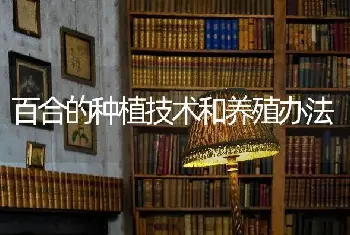 紫薇盆景制作和养护