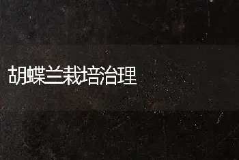 胡蝶兰栽培治理