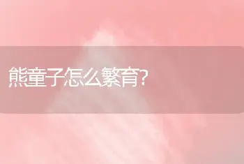 熊童子怎么繁育？