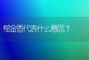 郁金香代表什么意思？