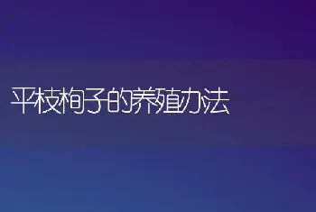 平枝栒子的养殖办法