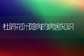 杜鹃花叶斑病的病害知识