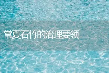 常夏石竹的治理要领