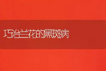 常春藤成长环境