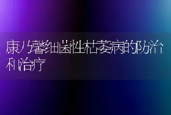 康乃馨细菌性枯萎病的防治和治疗