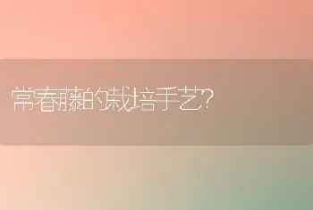 常春藤的栽培手艺？