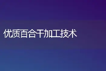 优质百合干加工技术