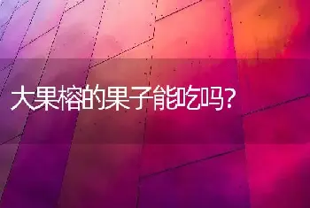 大果榕的果子能吃吗？