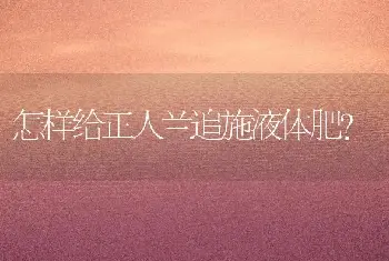 玫瑰迅速育苗技术