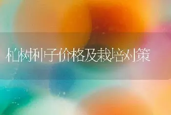 柏树种子价格及栽培对策