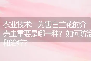 农业技术:为害白兰花的介壳虫重要是哪一种？如何防治和治疗？