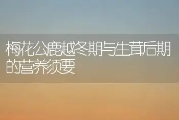 梅花公鹿越冬期与生茸后期的营养须要