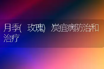 月季(玫瑰)炭疽病防治和治疗