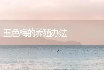 五色梅的养殖办法