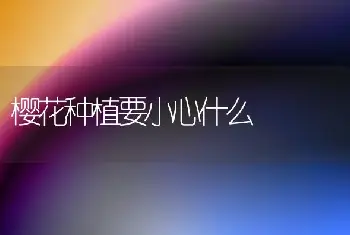 苏铁盆景的造型技艺