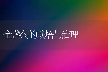 金盏菊的栽培与治理