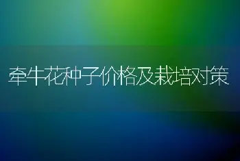 牵牛花种子价格及栽培对策