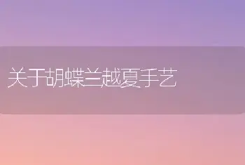 关于胡蝶兰越夏手艺