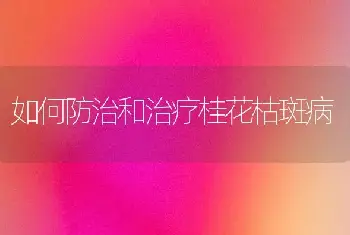 如何防治和治疗桂花枯斑病