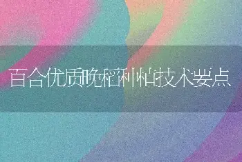 百合优质晚稻种植技术要点