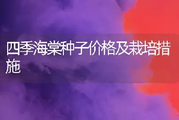 四季海棠种子价格及栽培措施