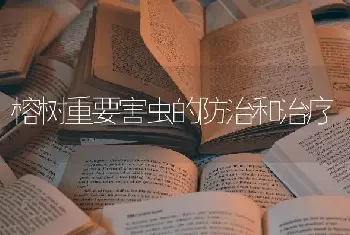 榕树重要害虫的防治和治疗