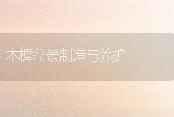 木樨盆景制造与养护