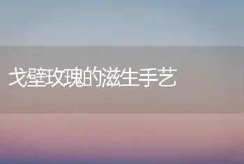 戈壁玫瑰的滋生手艺