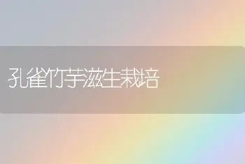 孔雀竹芋滋生栽培