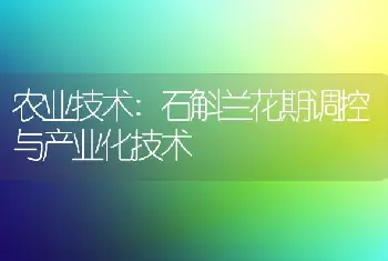 农业技术:石斛兰花期调控与产业化技术