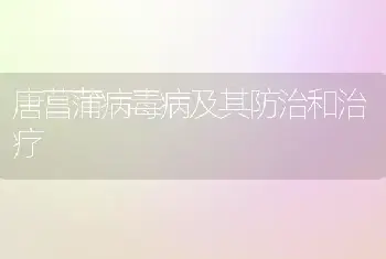 唐菖蒲病毒病及其防治和治疗