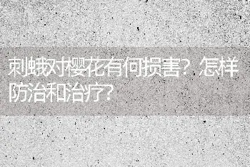 刺蛾对樱花有何损害？怎样防治和治疗？