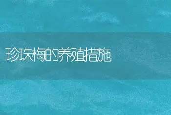 珍珠梅的养殖措施