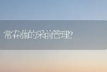 常春藤的采前管理？