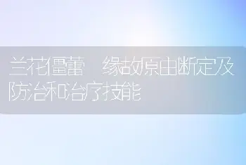 兰花僵蕾 缘故原由断定及防治和治疗技能