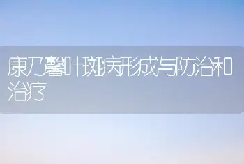 康乃馨叶斑病形成与防治和治疗