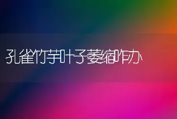 孔雀竹芋叶子萎缩咋办