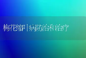 梅花缩叶病防治和治疗