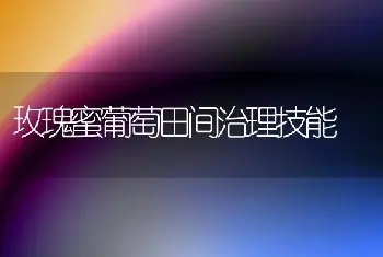 玫瑰蜜葡萄田间治理技能