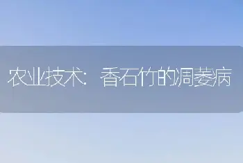 农业技术:香石竹的凋萎病