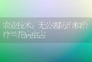 农业技术:无公害防治和治疗兰花病虫害