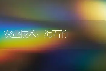 农业技术:海石竹