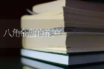 四序海棠的遮阳养护