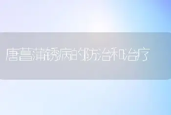 唐菖蒲锈病的防治和治疗