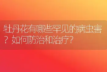 牡丹花有哪些罕见的病虫害？如何防治和治疗？