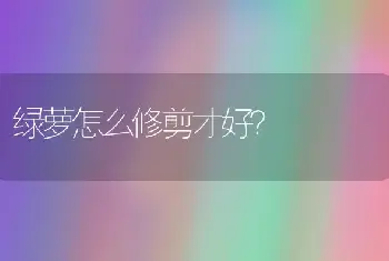 绿萝怎么修剪才好？