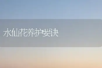 水仙花养护要诀