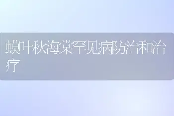 蟆叶秋海棠罕见病防治和治疗