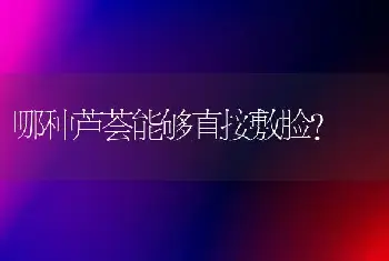 哪种芦荟能够直接敷脸？