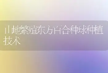 山地繁殖东方百合种球种植技术